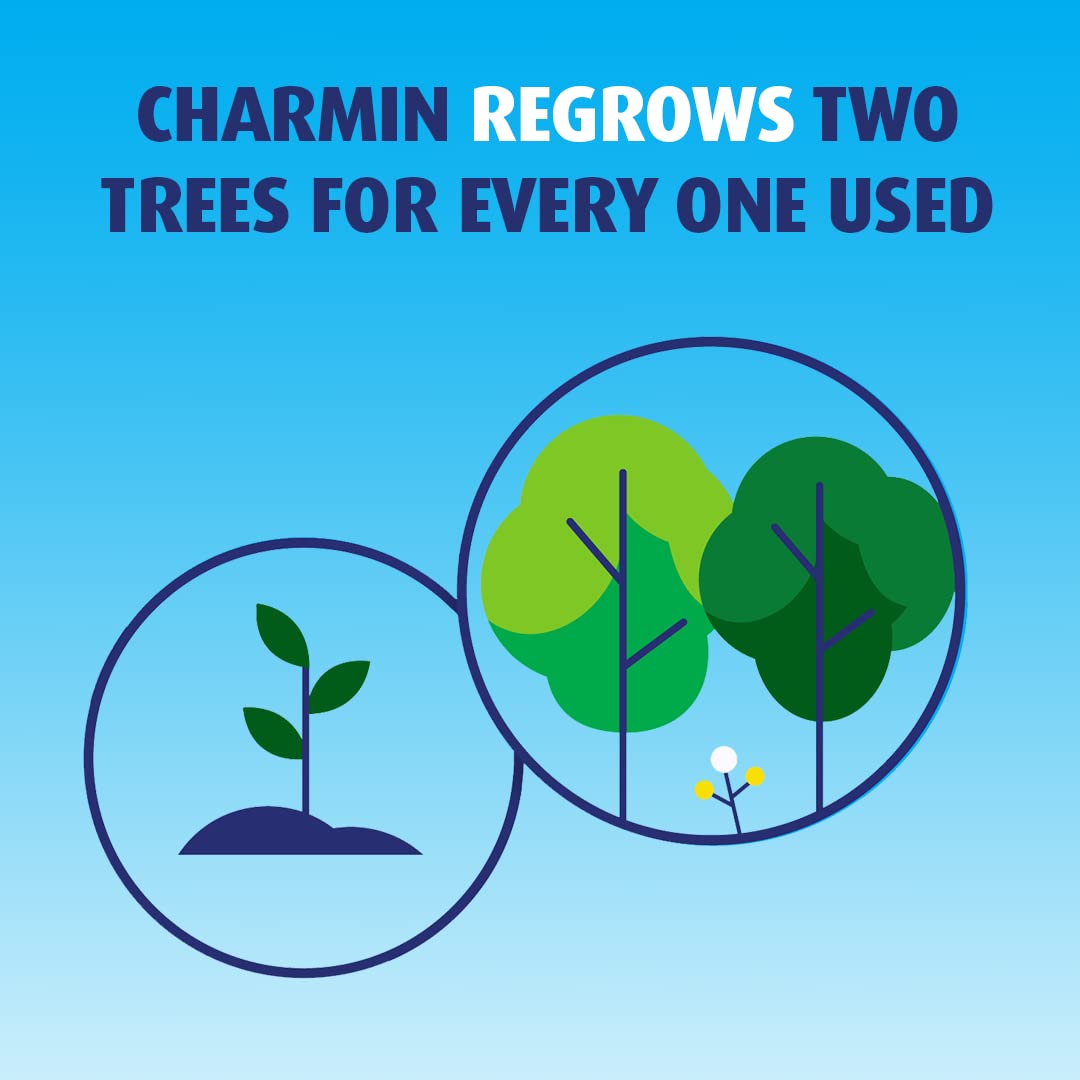 CHARMIN Ultra Softprinted2Paper